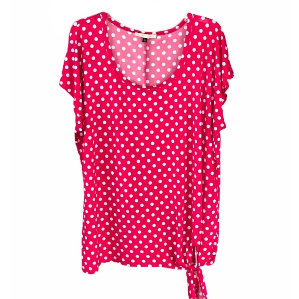 Jonathan Martin Pullover Short Sleeve Blouse 1X